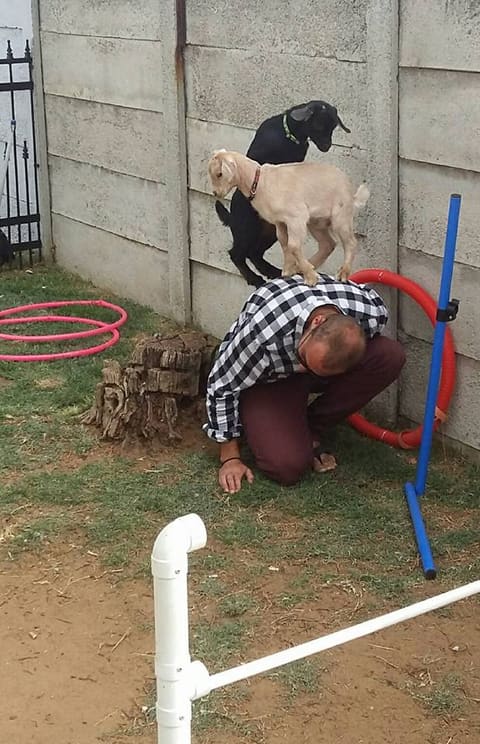 Agility work at the training centre
