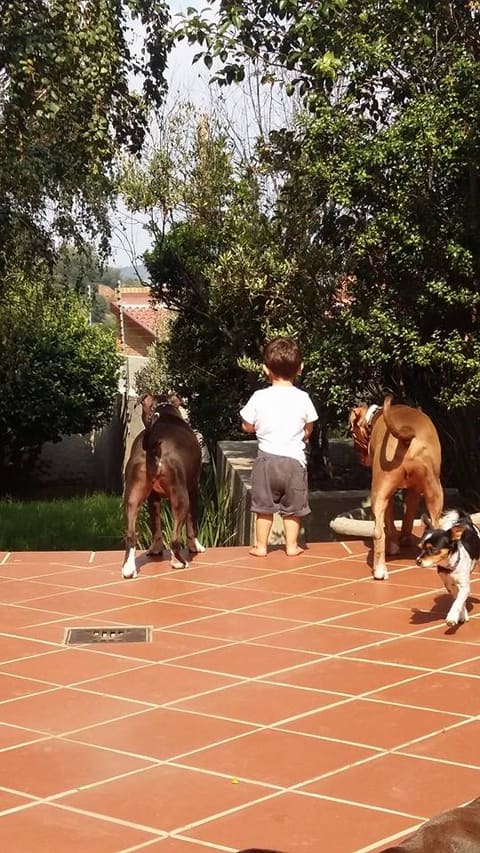Playmates at daycare
