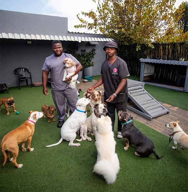 Handlers with a group of daycare dogs in the play area