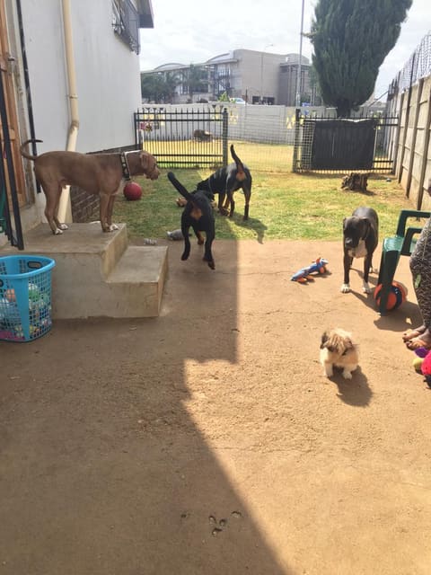 Daycare fun in the play yard