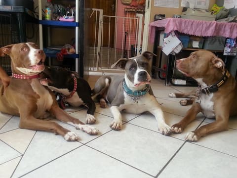 Indoor lounging at daycare