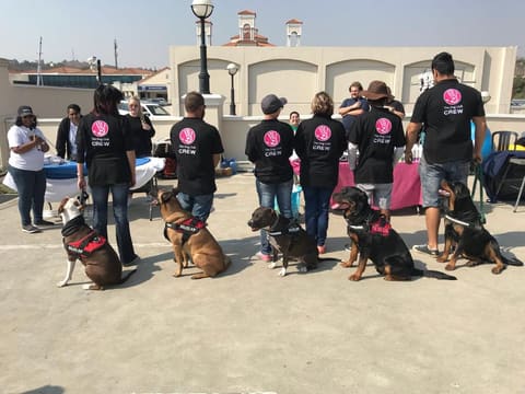 Our demo team on parade