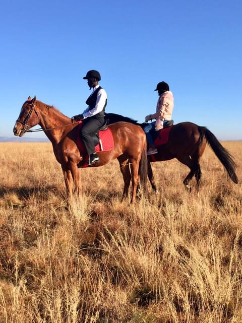 Horses and stunt doubles in a commercial
