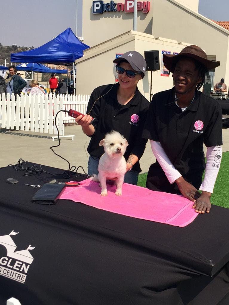 Janneque grooming a small white dog at a Dog Club demonstration, in a branded Dog Club shirt