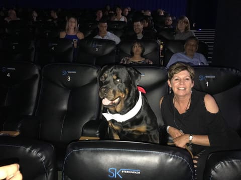 Julie and Adam at the Sandton premiere of Frank & Fearless