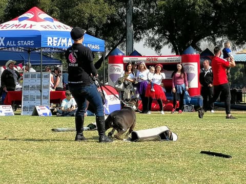 Obedience demonstration at a community event