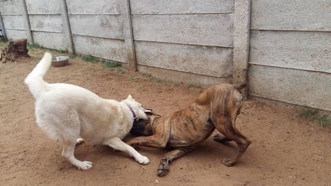 An invitation to play