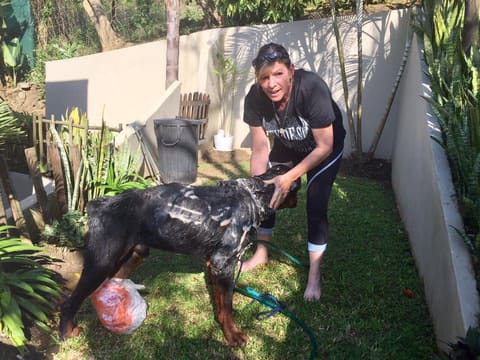 Bath time for a big client